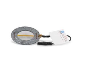 ruputure disc BDI